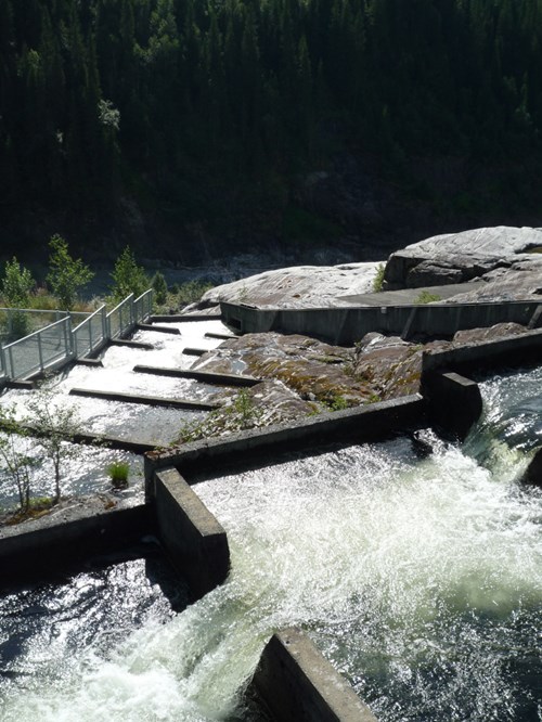 Nedre fiskumfoss kraftverk